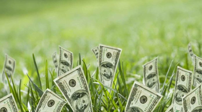 Top 10 Biggest Entrepreneurial Mistakes Top 10 Biggest Entrepreneurial Mistakes