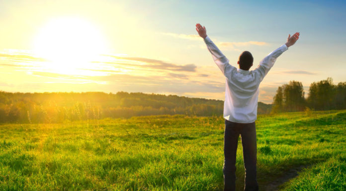 The 7 Areas Of Life To Focus On For Fantastic Growth The 7 Areas Of Life To Focus On For Fantastic Growth